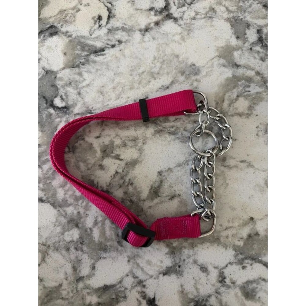 Brand new martingale collar in size medium